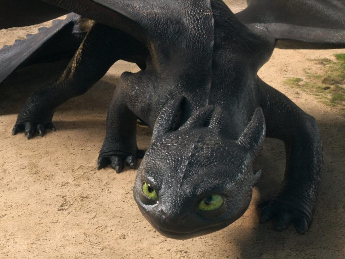 How the Live-Action How to Train Your Dragon Redefines&nbsp;Strength