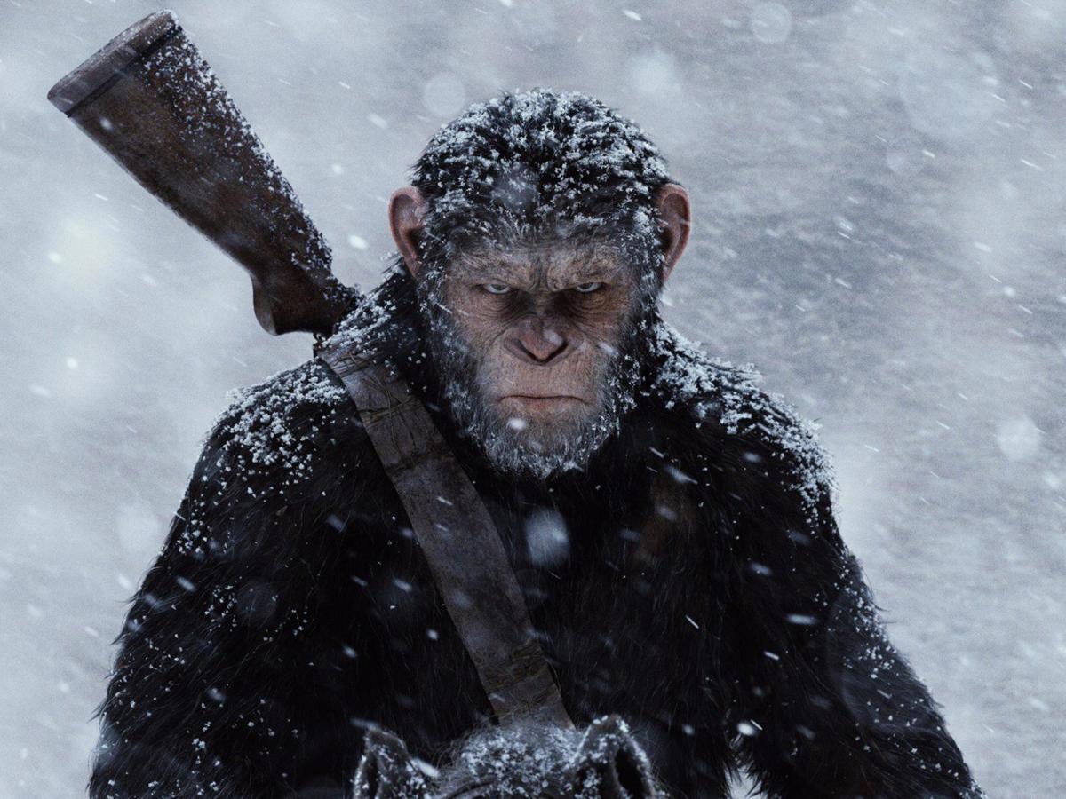 New Planet of the Apes Film in Development With Matt Shakman&nbsp;Directing