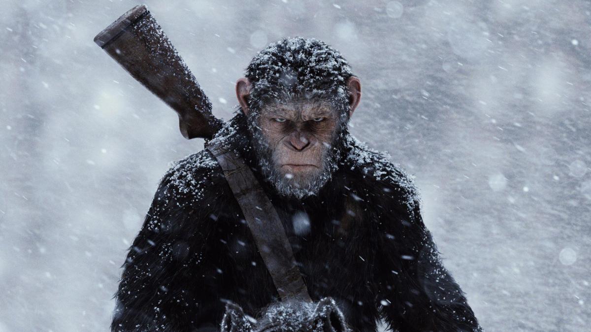 New Planet of the Apes Film in Development With Matt Shakman&nbsp;Directing