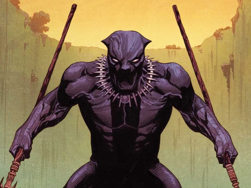 Black Panther 3 Can Finally Show Us How Someone Becomes the&nbsp;Panther