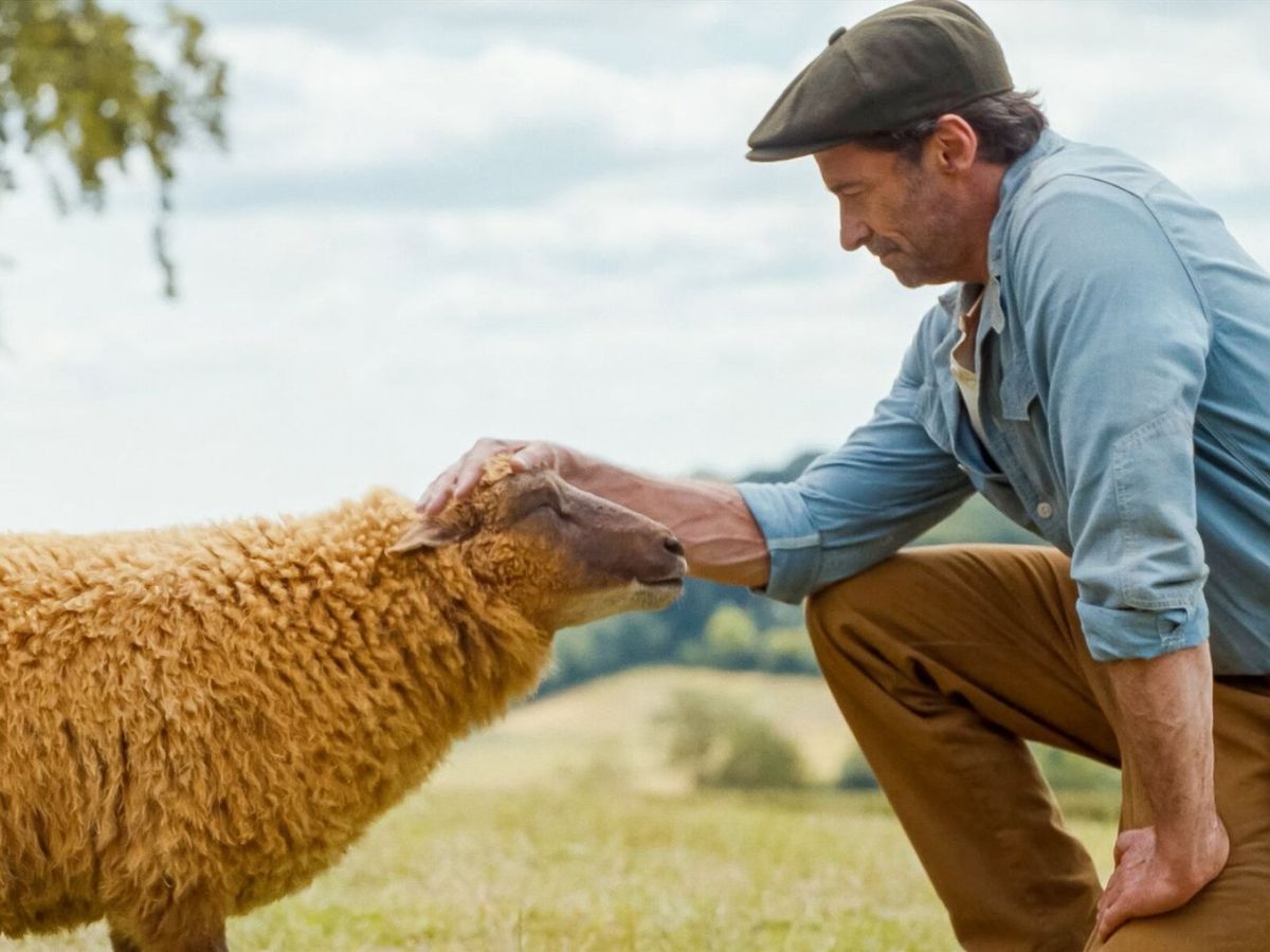 The Sheep Detectives Made Me Cry About a Murdered&nbsp;Shepherd
